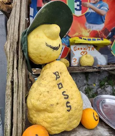 Ulisse Sul Sentiero Maison d'hôtes *
